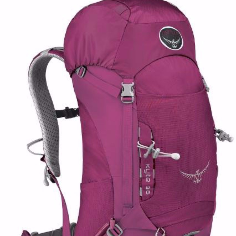 Osprey Magenta Daypack
